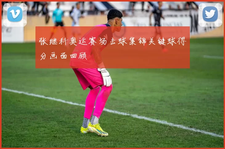 张继科奥运赛场击球集锦关键球得分画面回顾