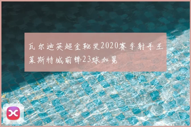 瓦尔迪英超金靴奖2020赛季射手王莱斯特城前锋23球加冕