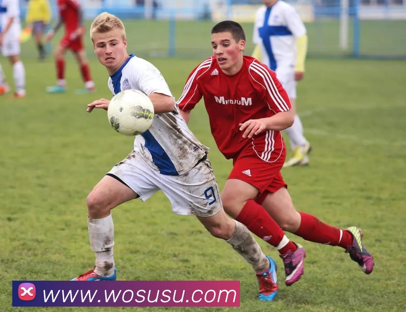 多媒体互动体验